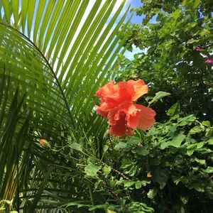 Meet your Posher, Dee